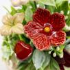 Lovely Hearts Centerpiece