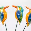 Kingfisher Bird