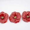Giant Poppy