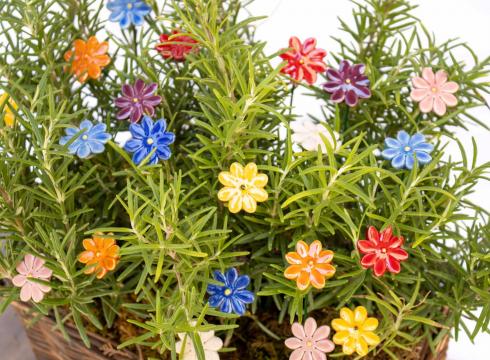 Mini Daisy | The Ceramic Flowers