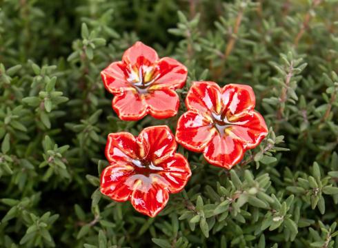 Mini csodatölcsér kerámiavirág elegáns dísz